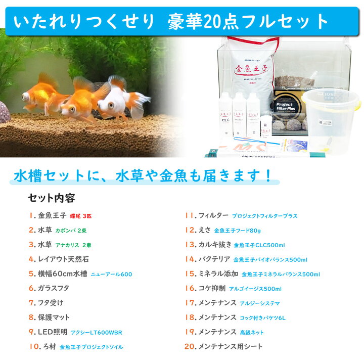 楽天市場 送料無料 金魚王子 ホームアクアリウムオールセット 金魚 蝶尾 60cm水槽 飼育に必要なもの全てお届け 家族の団欒 インテリア 癒しに アクアステージ