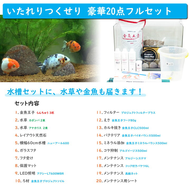 楽天市場 送料無料 金魚王子 ホームアクアリウムオールセット 金魚 らんちゅう 60cm水槽 飼育に必要なもの全てお届け 家族の団欒 インテリア 癒しに アクアステージ 楽天市場 送料無料 金魚王子 ホームアクアリウムオールセット 金魚 らんちゅう 60cm水槽 飼育に必要なもの全てお届け 家族の団欒 インテリア 癒しに アクアステージ