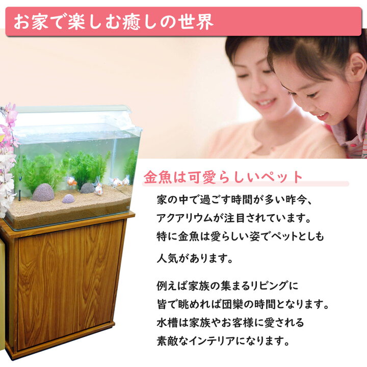楽天市場 送料無料 金魚王子 ホームアクアリウムオールセット 金魚 高頭パール 60cm水槽 飼育に必要なもの全てお届け 家族の団欒 インテリア 癒しに アクアステージ