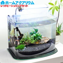 楽天市場】ビーシュリンプ 水槽セットの通販
