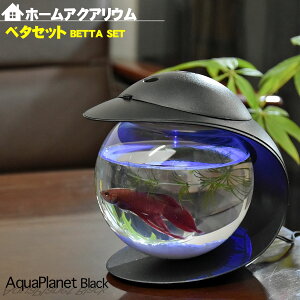 水槽 ベタ 飼育セットの人気商品 通販 価格比較 価格 Com