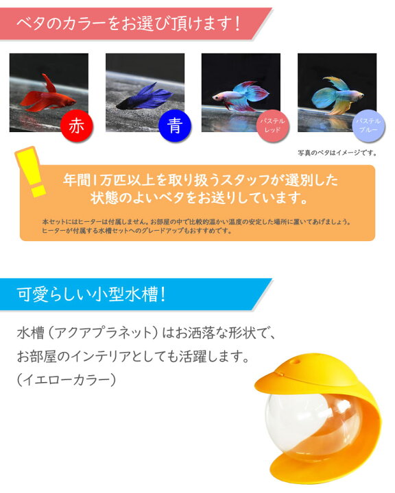 楽天市場 送料無料 ホームアクアリウムセット 簡単ベタ飼育セット アクアプラネット イエロー 初心者 簡単 家族の団欒 インテリア 癒しに プレゼント アクアステージ