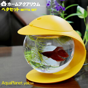 熱帯魚 アクアリウム用品 ベタの人気商品 通販 価格比較 価格 Com