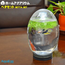 楽天市場 ベタ 飼育セット 水槽 アクアリウム 熱帯魚 アクアリウム ペット ペットグッズの通販