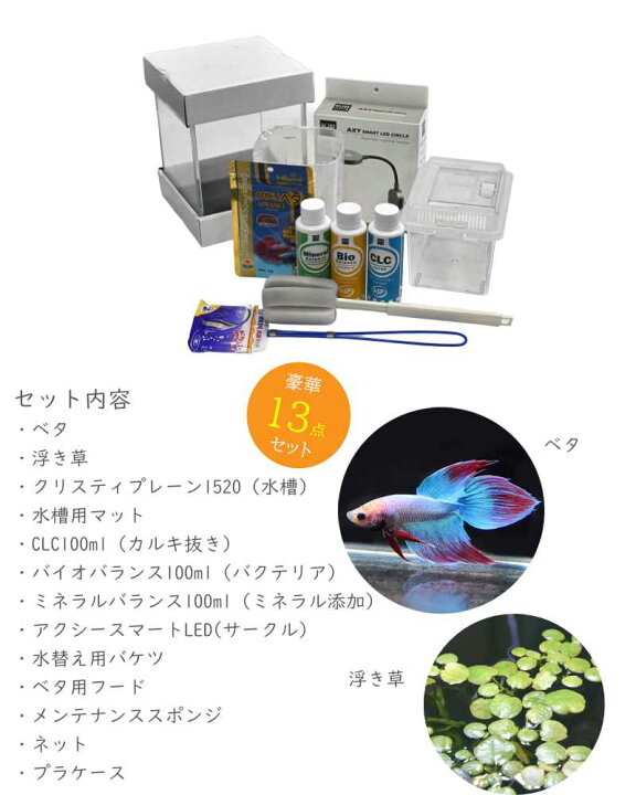 楽天市場】水槽 ホームアクアリウムオールセット 簡単 ベタ飼育セット 