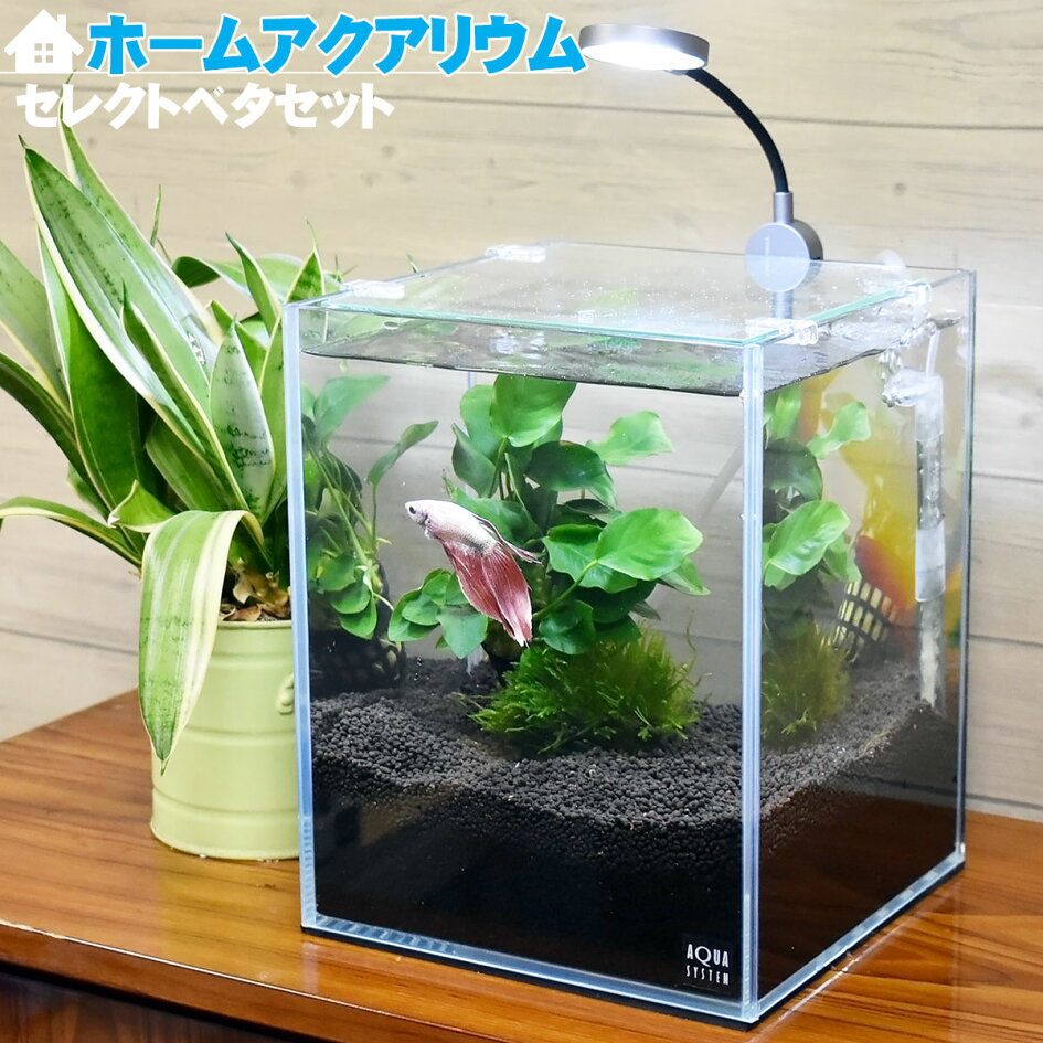 楽天市場 | アクアステージ - 水槽・ライト・アクアリウム用品の通信 