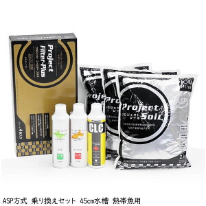 yASPz芷Zbg 45x30cm - Mыp ANAE  pi 啝ɏȂ  oNeA tB^[ Zbg