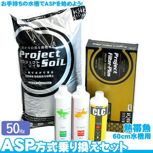 yASPz芷Zbg 60x30cm - Mыp 啝ɏȂ lCh߃VXe ANAVXe ANAE pi