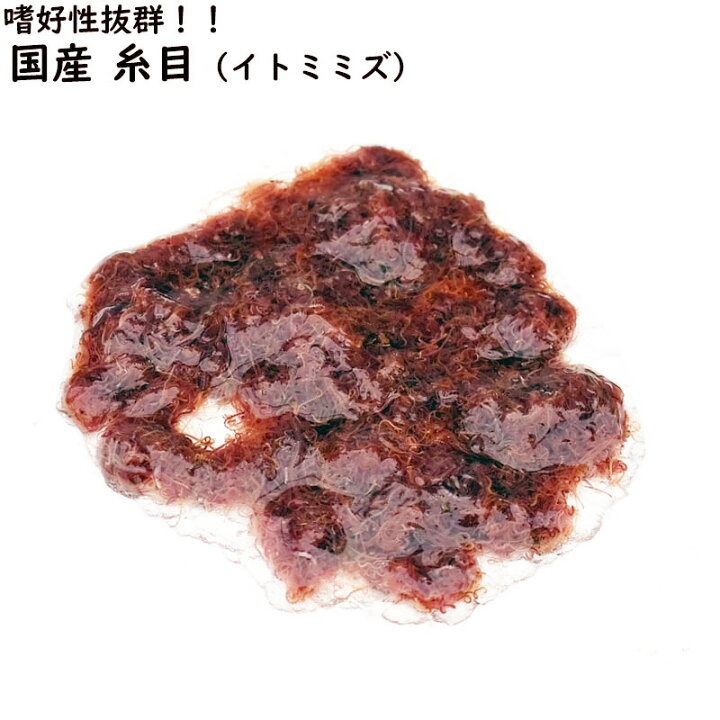 楽天市場 生き餌 糸目 イトミミズ 0g 国産 イトメ 鮮度良好 アクアステージ