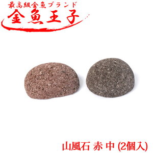 ANAVXe q R   (2) CAEg    ANAE