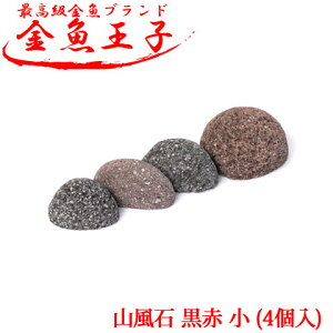 ANAVXe q R   (4) CAEg    ANAE