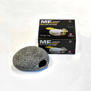 VF^[  MTCY (F-924-M) B p ANZT[ ANAE pi