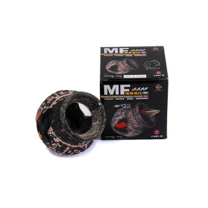 VF^[  MTCY (F-927-M) B ANZT[   ANAE pi