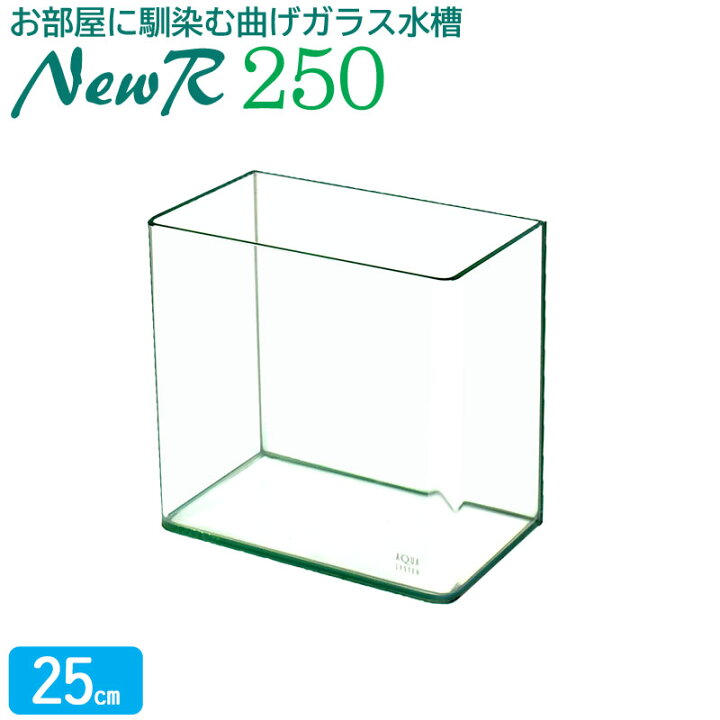 楽天市場】水槽 25cm ガラス水槽【25×15×24cm 7L】ニューアール250 