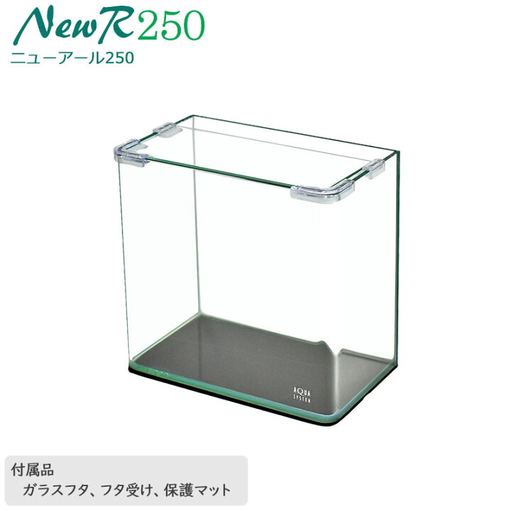 楽天市場】水槽 25cm ガラス水槽【25×15×24cm 7L】ニューアール250 