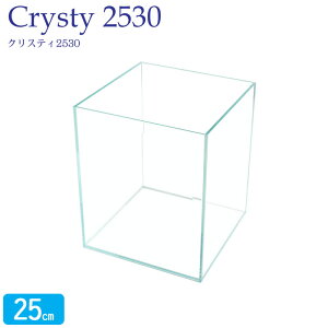 水槽 25cm ガラス水槽【25×25×30cm 16L】クリスティ 2530 25cm水槽 スクエアタイプ 水槽 ガラス 蓋付き フタ受け付き 保護マット付き ガラス厚5mm アクアシステム 熱帯魚 金魚 メダカ 水草 ガラスふ