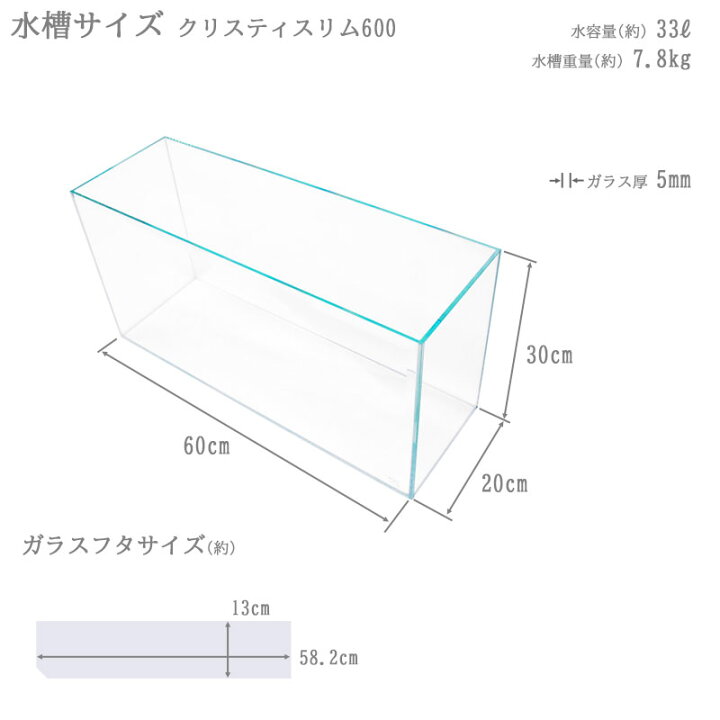 楽天市場】【楽天ランキング1位獲得】水槽 60cm ガラス水槽【60×20 
