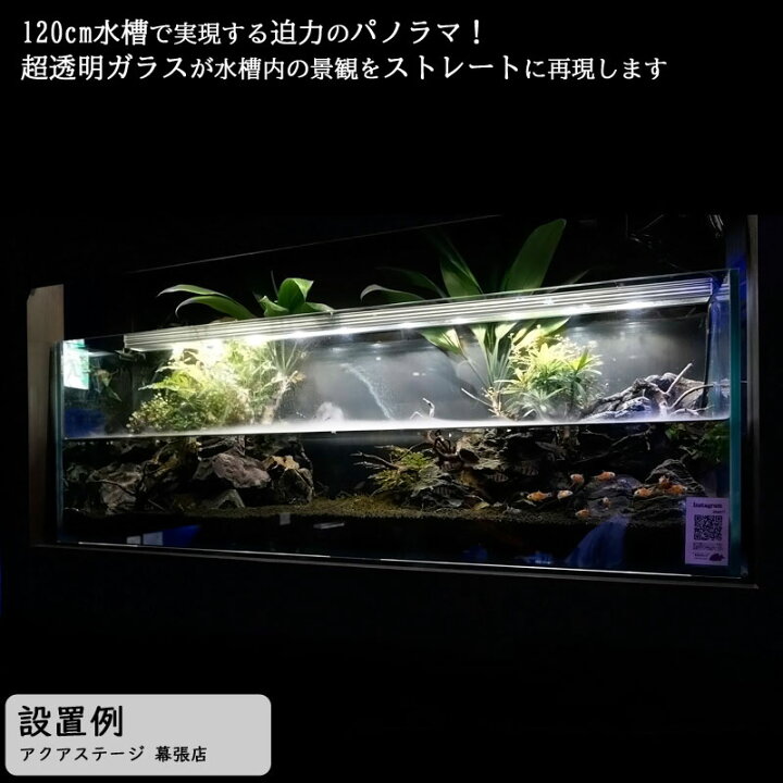 水槽 クリスティプレーン 90sh レイアウト 水草 90cm水槽 クリアガラス 限定 背高 オールガラス 110l 超透明 メダカ 90 30 45cm 熱帯魚 アクアリウム 金魚