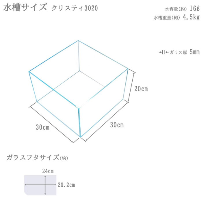 楽天市場】水槽 30cm ガラス水槽【30×30×20cm 16L】クリスティ 3020 