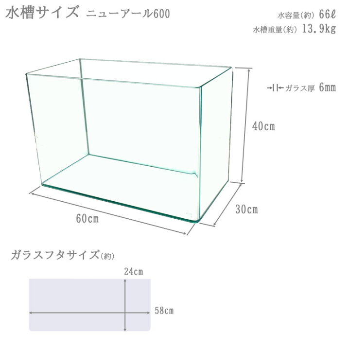 楽天市場】水槽 60cm ガラス水槽【60×30×40cm 66L】ニューアール600 