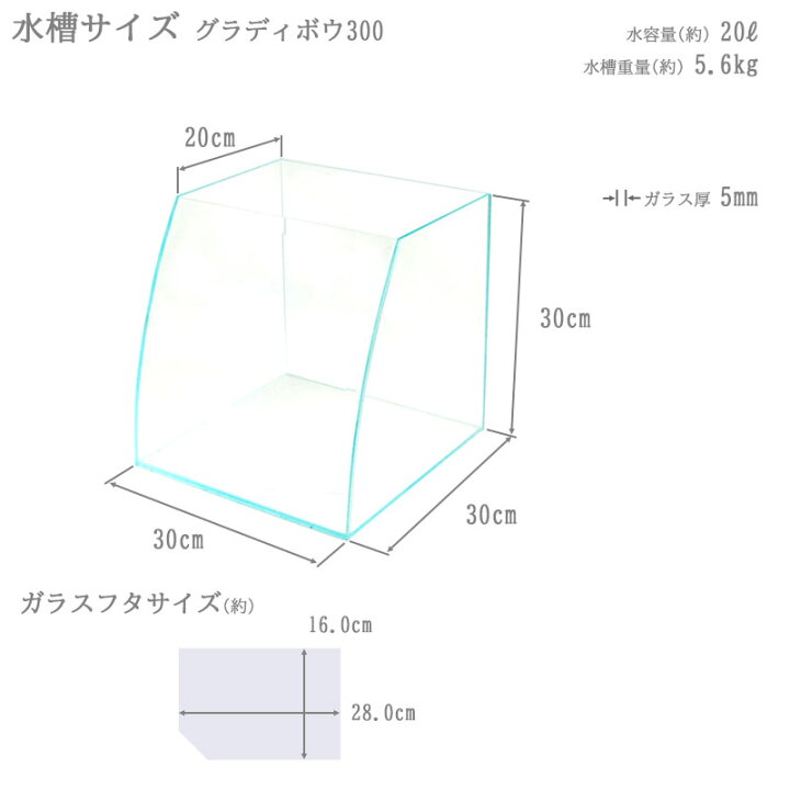 楽天市場】水槽 30cm ガラス水槽【30×上20/底30×30cm 20L 