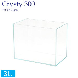  31cm KXy31×18×24cm 11LzNXeB 300 ANAVXe 31cm STCY  KX Wt t^ ی}bg KX5mm Mы  _J  KXӂ  N