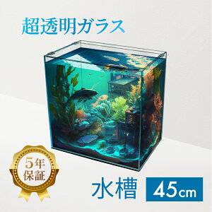  45cm KXy45×30×45cm 56LzNXeBv[ 45H 45cm KX Wt t^󂯕t ی}bgt KX6mm ANAVXe Mы  _J 45Z` L[u  