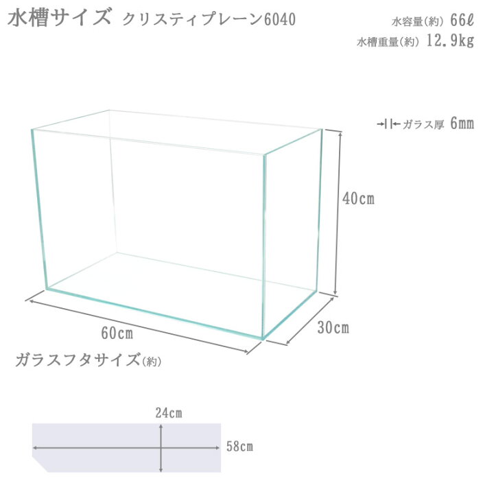 楽天市場】水槽 60cm ガラス水槽【60×30×40cm 66L】クリスティプレーン 