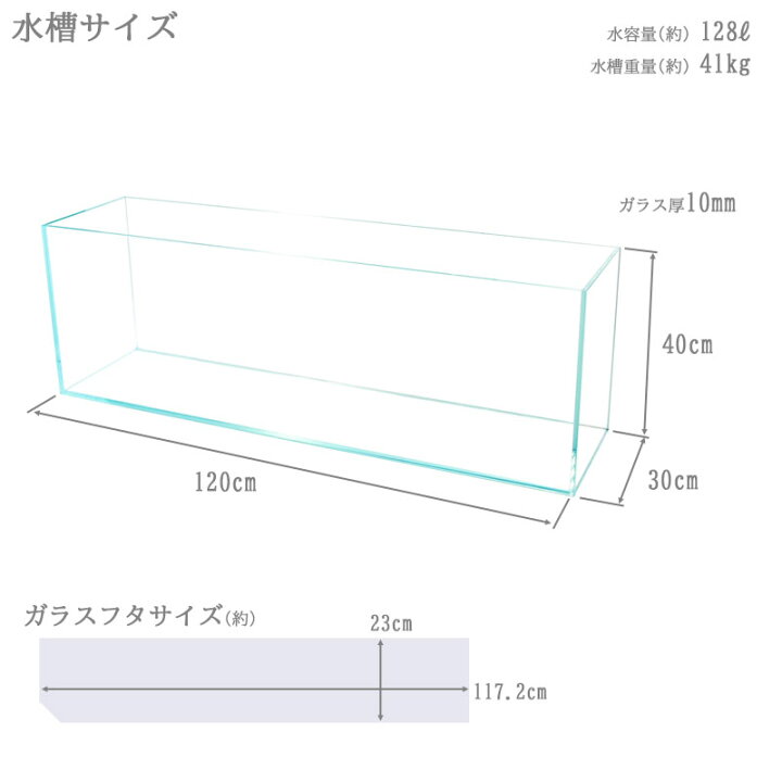 楽天市場】水槽 120cm ガラス水槽【120×30×40cm 128L】クリスティ 