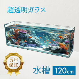 楽天市場】水槽 90cm ガラス水槽【90×30×40cm 98L】クリスティプレーン 