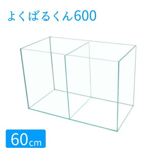  60cm KX y60×30×40 66Lz悭΂邭600 60cm d؂   KX Wt ی}bgt KX5mm ANAVXe Mы  _J  KXӂ  NA