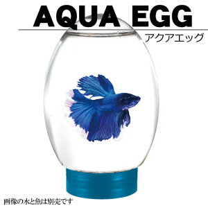 水槽 11.5cm 樹脂製 水槽【11.5×18,5cm 1.2L】アクアエッグ ブルー アクアシステム 11.5cm水槽 小型 LED照明 台座付き タマゴ型 たまご型 ミニサイズ アクアシステム 熱帯魚 金魚 メダカ 水草 レイア