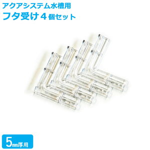 ylR|Xzt^ (5mmp) ANAVXe mA[ NXeBp p[c W KX I[KX