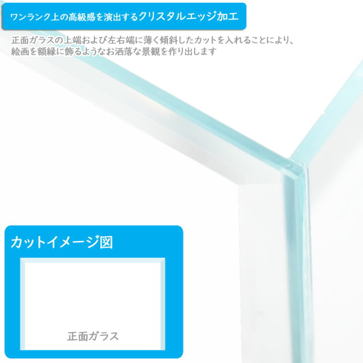 楽天市場】水槽 120cm ガラス水槽【120×30×40cm 130L】クリスティ120S 