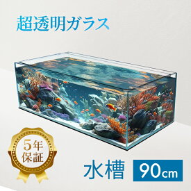 水槽 クリスティ90F (90×45×30cm 109L) アクアシステム 90cm水槽 背低 超透明 クリアガラス オールガラス 熱帯魚 金魚 水草 レイアウト アクアリウム