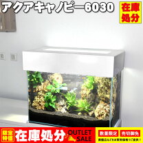 楽天市場】水槽 在庫処分の通販