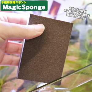 }WbNX|W pN[i[ ANAVXe X|W  RP KX | eiX N[jO ANAE pi