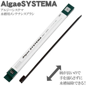 AW[VXe} New ANAVXe | uV eiX ֗ ȒP ANAE pi