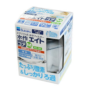  GCg RA M EC-20 GAtg tB^[