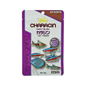 L[ ЂNXg JV 12g Mы a  GT t[hylR|Xz