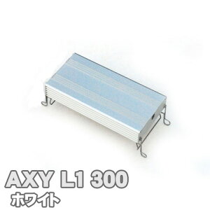 ANV[G300 (zCg) AXY L1 ANAVXe Px LED Ɩ 30cm p pi ANAEyCgZbgz