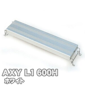 ANV[G600 (zCg) AXY L1 ANAVXe Px LED Ɩ 60cm p pi ANAE