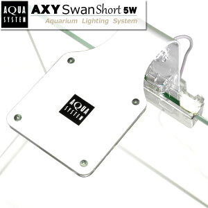 ANV[XV[g 5W (AXY Swan Short) ANAVXe ledCg Ɩ LEDCg Cg ANAECg  ^ ANAE pi y1Nۏ؁z