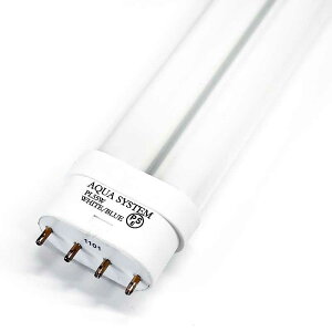 pbP[WANAVXe ANV[p PL55W zCgu[