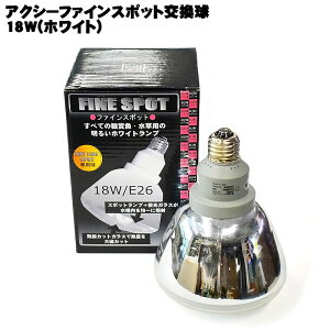 ANV[t@CX|bg (zCg) 18W ANAVXe u Mы  ߂  ANAE