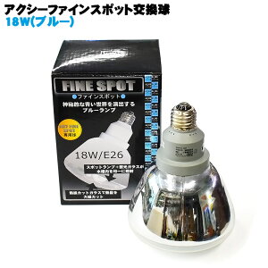 ANV[t@CX|bg (u[) 18W ANAVXe u Mы C ANAE