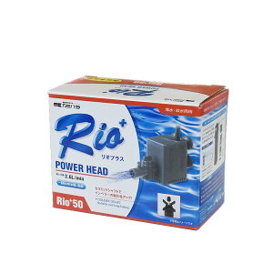 J~n^ IvXp[wbh Rio+ y50z (50Hz {n) |v ANAE pi