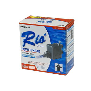 J~n^ IvXp[wbh Rio+ y800z (50Hz {n) |v ANAE pi