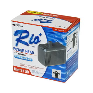 J~n^ IvXp[wbh Rio+ y2100z (50Hz {n) |v ANAE pi