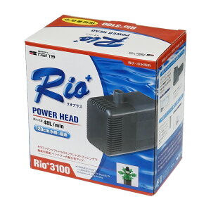 J~n^ IvXp[wbh Rio+ y3100z (50Hz {n) |v ANAE pi